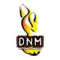 Acecast Industry Co., Ltd. (DNM Industrial Co., Ltd.) Logo