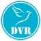 DVR IMPORT AND EXPORT TRADERS Logo
