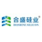 Zhejiang Hoshine Silicon Industry Co., Ltd. Logo