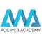 Ace Web Academy