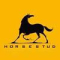 HORSESTUD