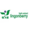 Daxinganling Lingonberry Boreal Biotech..