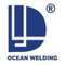 Linan Dayang Welding Material Co.,Ltd.