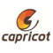 Capricot Technologies Private Limited