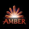 Amber Valley Group