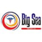 Big Sea Medical Logo