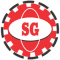 S. G. Global Solutions