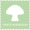 White Mushrooms Holidays Pvt Ltd