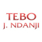 TEBO J. NDANJI Logo