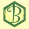 Bayrony Investment International Logo