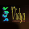 Vs Vidya Associates Logo