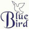 Bluebirdintl Logo