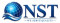 Nano Science and Technology Company