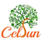 Celsun Ecoenergy & Infratech Holdings..