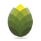 BARCA AGRO AND FOOD PVT.LTD