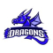 DRAGON FOOTWEAR PVT. LTD. Logo