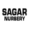 Sagar Nursery