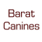 Barat Canines