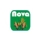 Nova Industries Limited