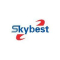 Shenzhen SKYBEST Electronics Sales..