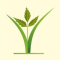 Sree Agro Logo
