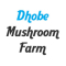 Dhobe mushroom farm