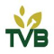 TVB Healthcare
