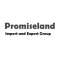 Promiseland Import and Export Group Logo