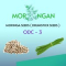 MORINGA INC