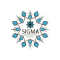 Sigma Hand Print