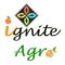 IGNITE CORPORATION