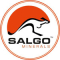 Salgo Minerals
