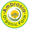 Ambrosia Organic Farm