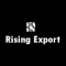 RISING INDIA EXPORT SERVICES