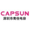 Shenzhen Capsun Electronic Co. Ltd