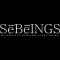 Sebeings Facility Management Pvt ltd Logo