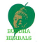 Buddha Herbals And Ayurvedic Products