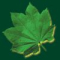 Naik Environmental Engineers Pvt. Ltd. Logo