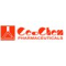 Ce-chem Pharmaceuticals Pvt. Ltd