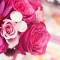 DelhiOnlineFlorists
