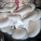 vivekananda Mushroom and spawn