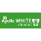 Apollo White Dental