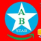 AB STAR WELDING ELECTRODES