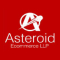 Asteroid Ecommerce LLP