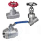 Wenzhou Ruixin Valve Co.,Ltd