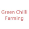 Green Chilli Farming