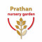 Prathan Nursery Garden