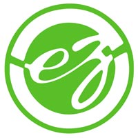 Electro Zone India Logo