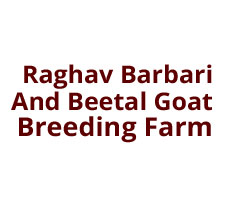 Raghav Barbari And Beetal Goat Breeding Farm Logo