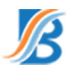 BSS Magmeter Pvt. Ltd. Logo